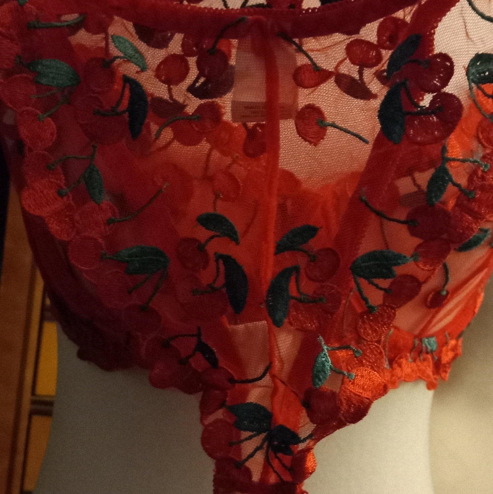 New,red sheer mesh cherries  embroidered underwire bra & thong lingerie size med - Picture 6 of 13